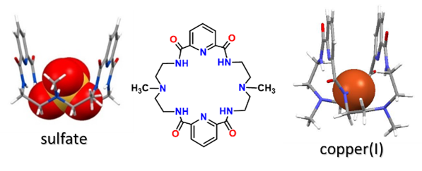 Transition metals, anions, dative bond, hydrogen bond model