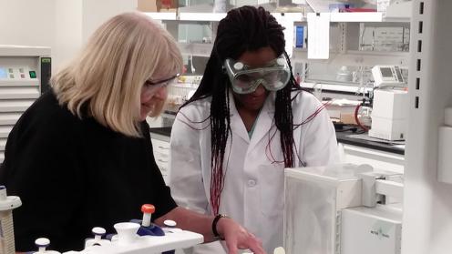 Kristin Bowman-James works with an undergraduate student in a KU chemistry lab.